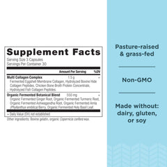 Infographic showing collagen types I, II, III, V and X