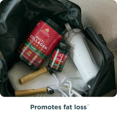 Ingredients visualization showing probiotics and cinnamon