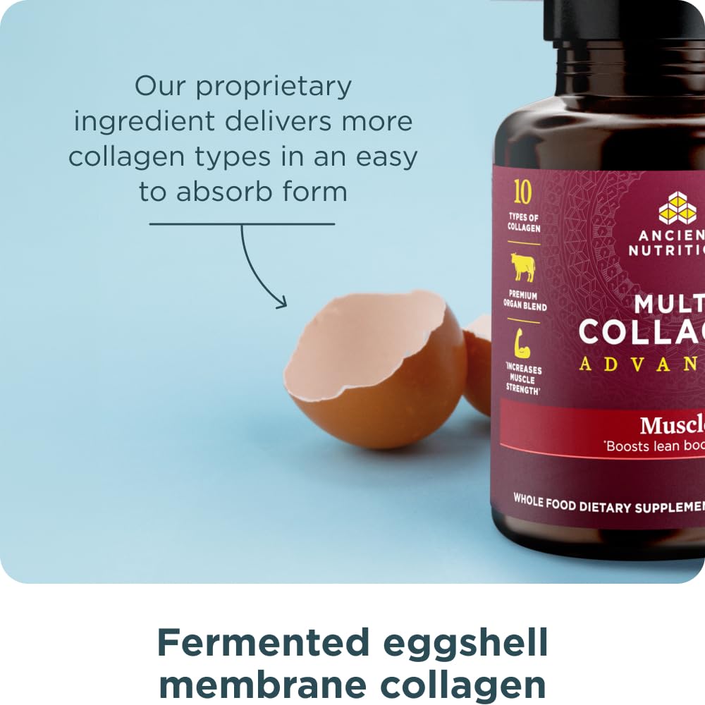 Gym-inspired scene featuring Ancient Nutrition supplement