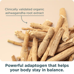Mood support and hormonal balance for women 50+
