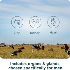 Organ supplement ingredients and aging support