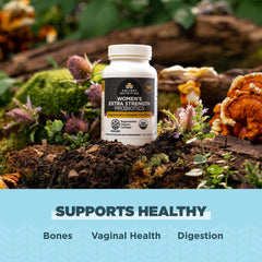 Reishi mushroom mycelium and chaga mushroom mycelium ingredients in the formula