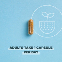 Graphic showing digestion and immune support from probiotic blend