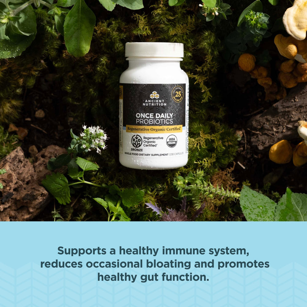 Ingredients highlight: cordyceps, maitake, and fermented ginger in the probiotic blend