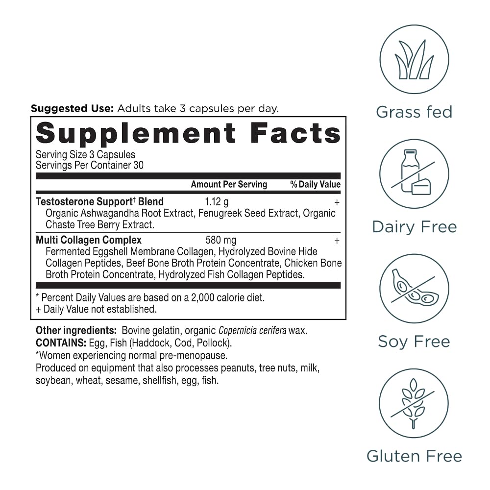 Ancient Nutrition Testosterone Support chaste tree berry extract conveys hormone balance potential.