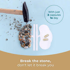 Ancient rainforest wisdom: Chanca Piedra herb