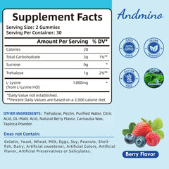 Andmino Lysine Gummies berry bottle with label