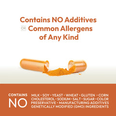 Dairy-free gluten-free soy-free turmeric supplement