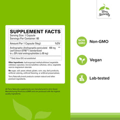 Graphic illustrating brain health benefits of Andrographis EP80 Extra Strength