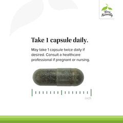 Graphic illustrating joint mobility support from Andrographis EP80 Extra Strength