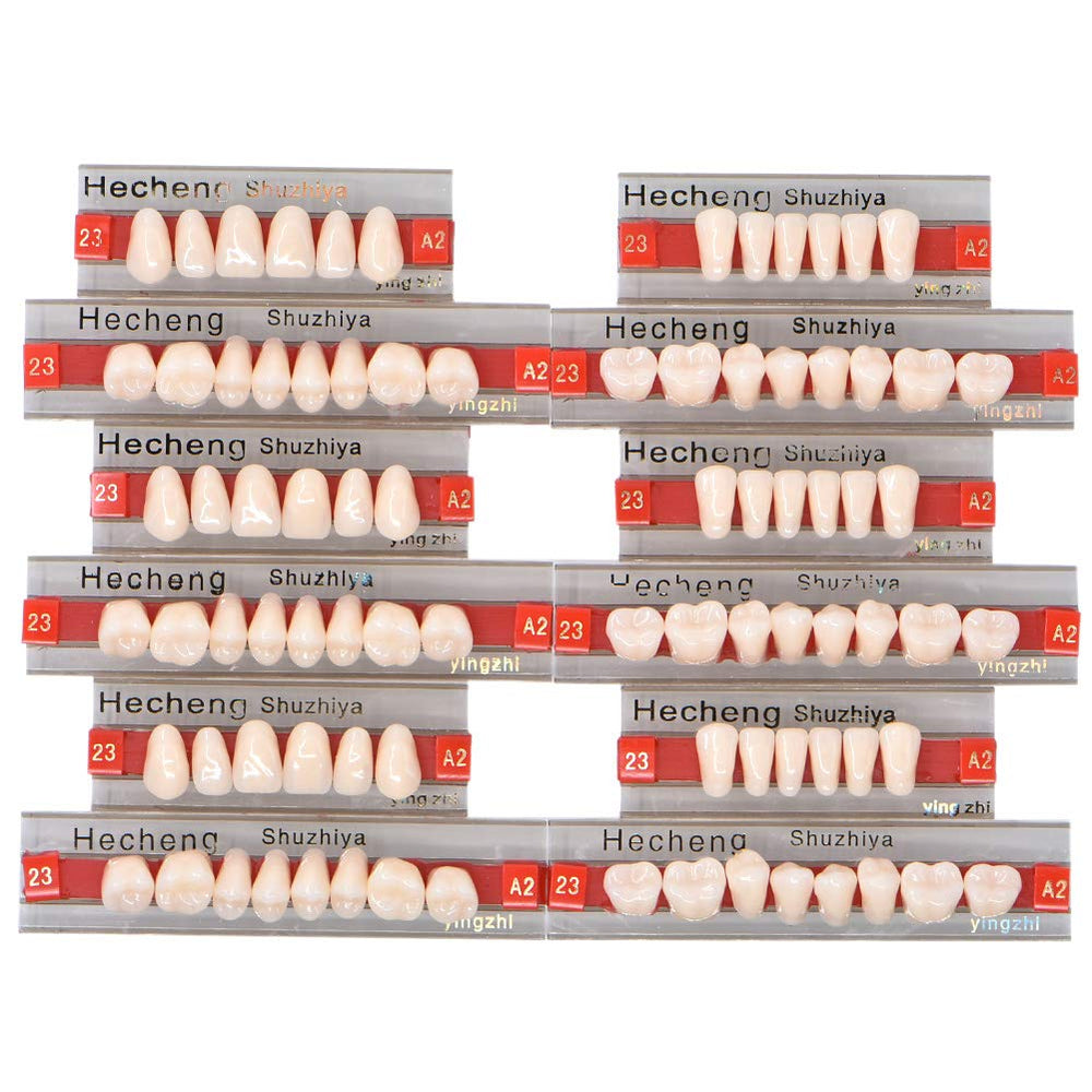 Complete acrylic resin denture teeth by Angzhili, 84 pieces