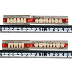 Three sets per box: 28 teeth per set for dentures