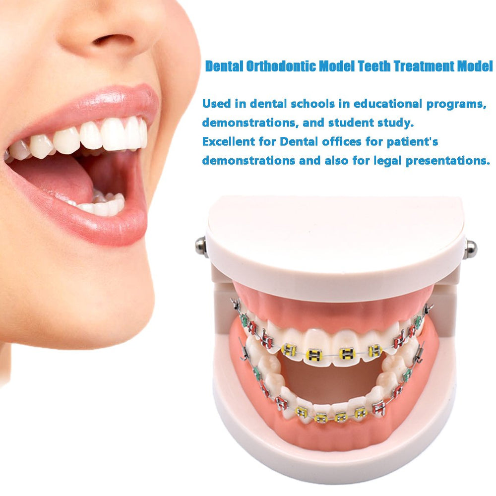 Dental teaching model suitable for dentist education