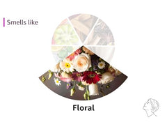 Anima Mundi Apothecary branding and packaging