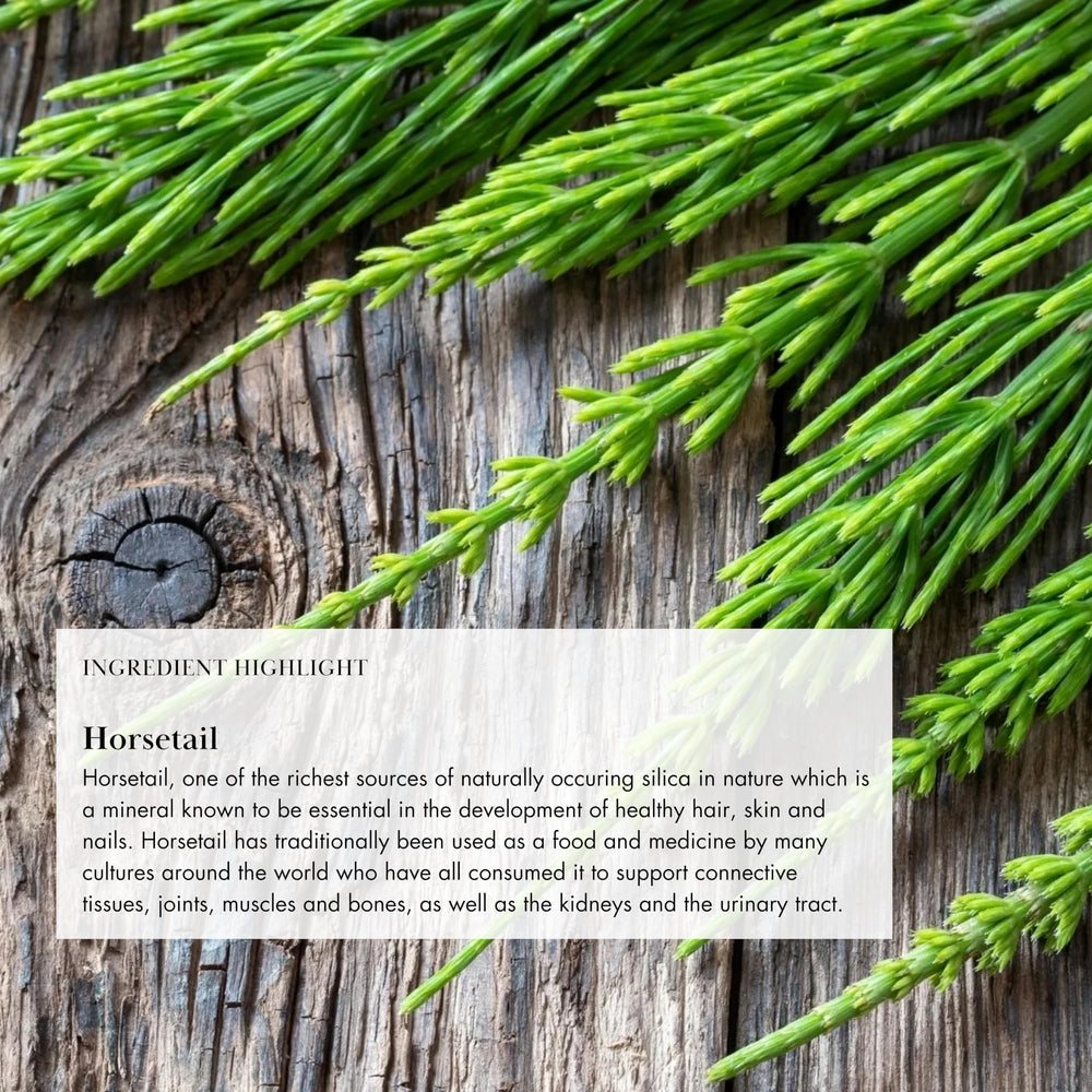 Plant-based adaptogens and herbs in Anima Mundi vegan collagen powder