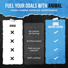 Graphic illustrating 2.5g creatine per serving