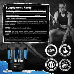 Travel-ready bottle of Animal Creatine Capsules in gym bag