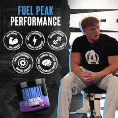 Serving visual shows 5g creatine per four chews for performance support