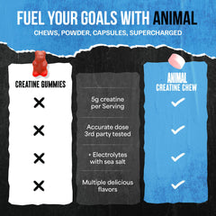 Animal Creatine Chews gym bag ready for quick pre-workout energy