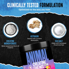 Animal Creatine Chews label reveals AstraGin and sea salt benefits