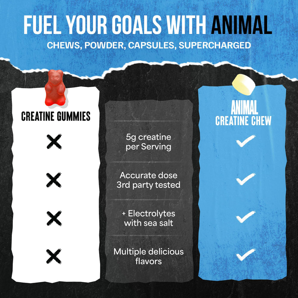 AstraGin Panax ginseng and astragalus blend graphic