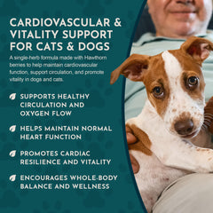 Product shot - Hawthberry 1oz bottle on white