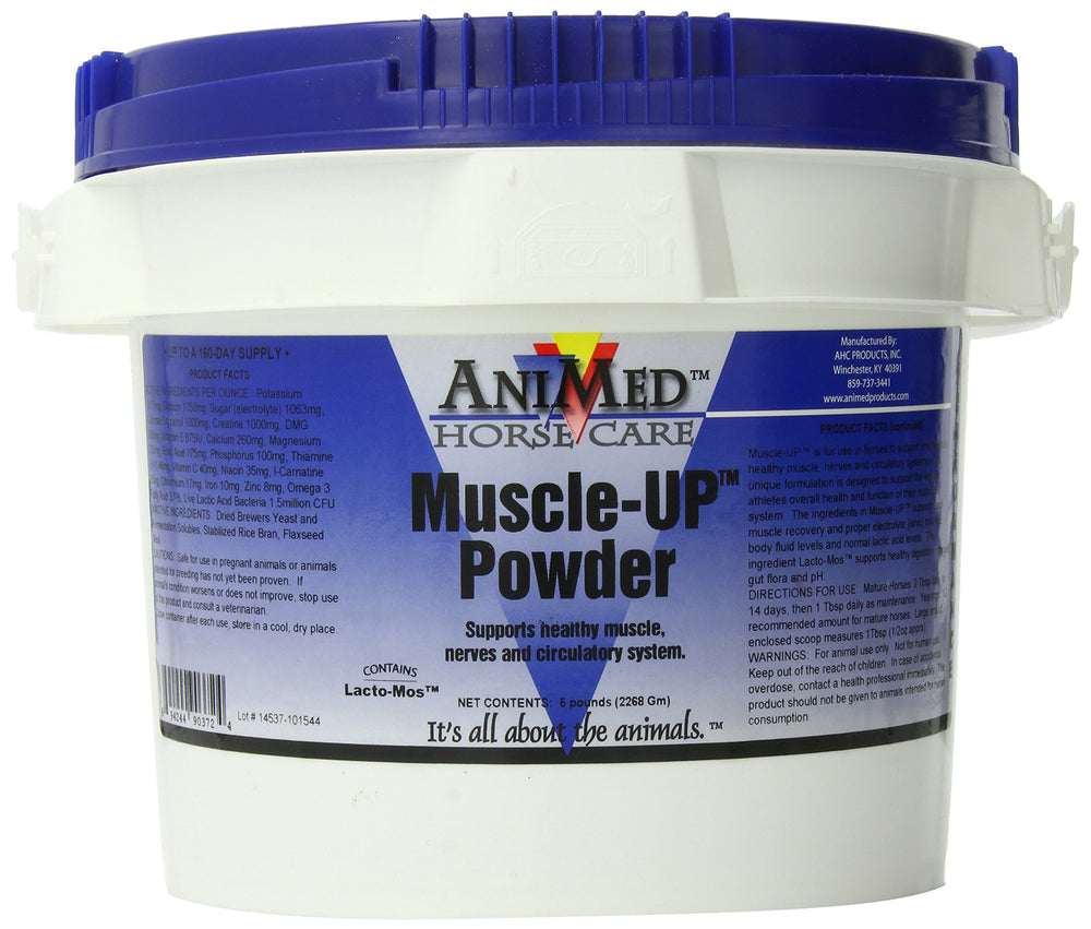 ANIMED MuscleUp Powder jar detail shows fast-absorbing formula for workouts.