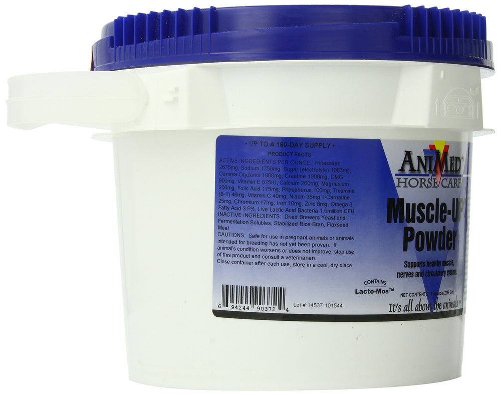 ANIMED MuscleUp Powder shaker-mix demonstrates easy blending for post-workout nutrition.