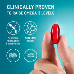 Illustration of Antarctic waters showing sustainable krill sourcing