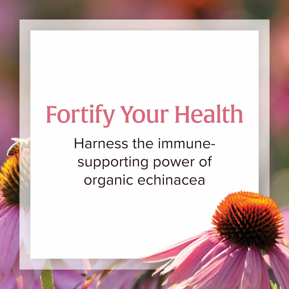 Ingredients showing reishi mushroom and licorice root for immune support