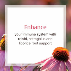 Astragalus root included in Anti-V Liquid Formula