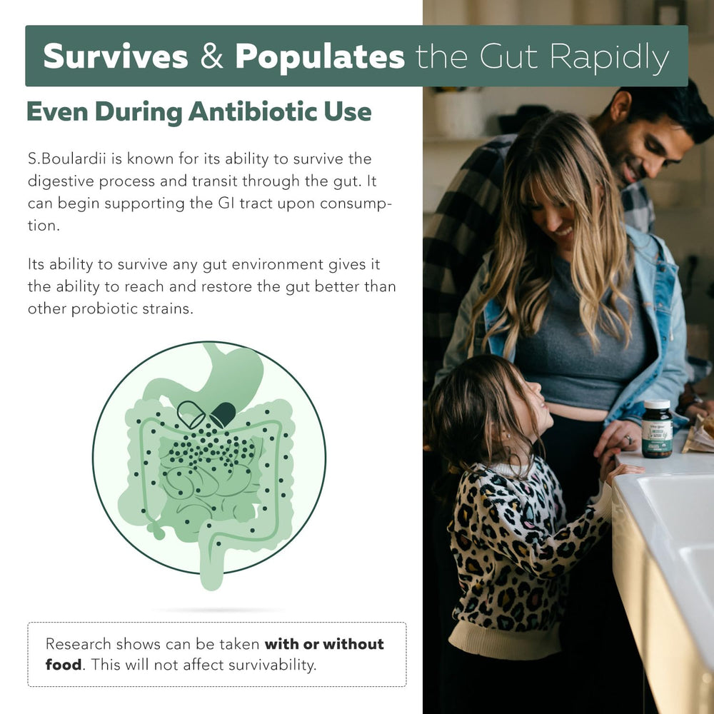 Probiotic supporting gut health during antibiotic use