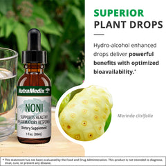 Illustration of Noni antioxidant benefits