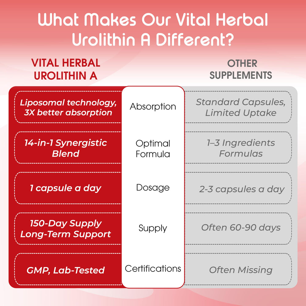 Antioxidant defense and aging concept