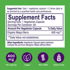 Maqui berry antioxidant-rich image