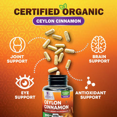 Antioxidant support symbol with cinnamon capsules