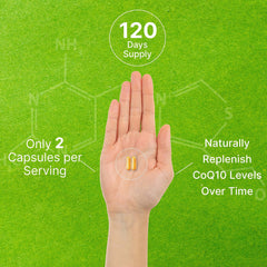 Antioxidant cellular support concept