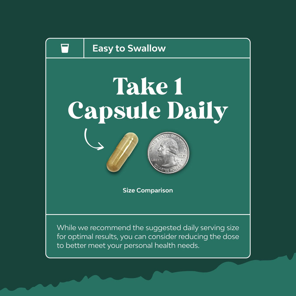 Illustration of antioxidants and wellness benefits