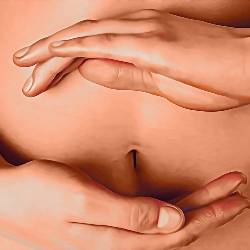 Digestive support ingredients of Antisid: Slippery Elm, Marshmallow Root, Licorice