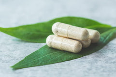 Antler Farms bone marrow capsules close-up showing premium quality.