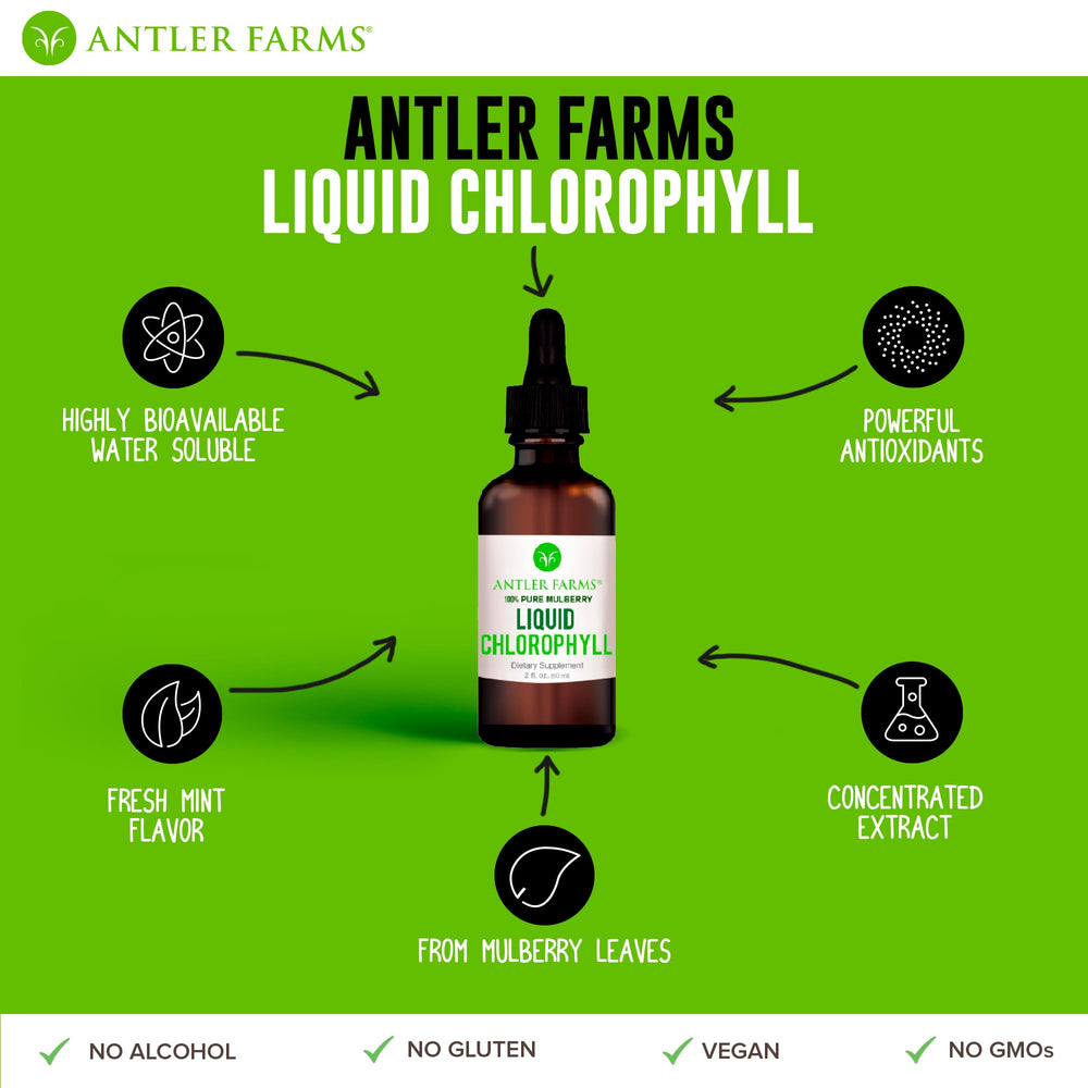 Graphic illustrating antioxidants and detox benefits
