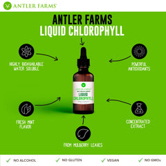 Graphic illustrating antioxidants and detox benefits