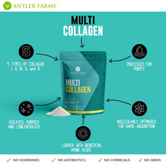 Graphic highlighting benefits for skin, hair, digestion and joints