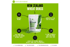 New Zealand origin Canterbury Plains branding for wheatgrass
