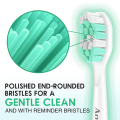 Premium DuPont bristles on replacement head