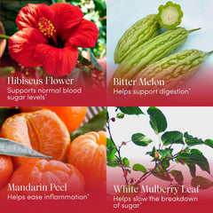 Herbal ingredients blend: Hibiscus, White Mulberries, Bitter Melon