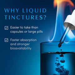 Maca root used in Blue Burn