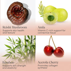 Acerola cherry and amla berry ingredients