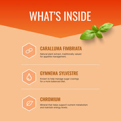 Close-up of ingredients listing on packaging