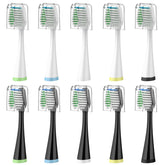 Replacement brush heads for AquaSonic Duo Series and Home Dental Center